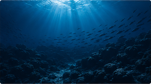 Sunlit underwater reef with fish